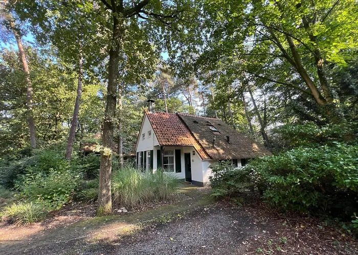 Sfeervol Huisje In De Natuur - Hestia IJhorst