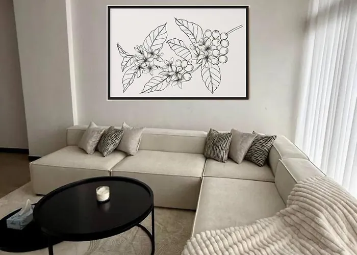 Astonishing 3 Bedroom Apartment Addis Abeba