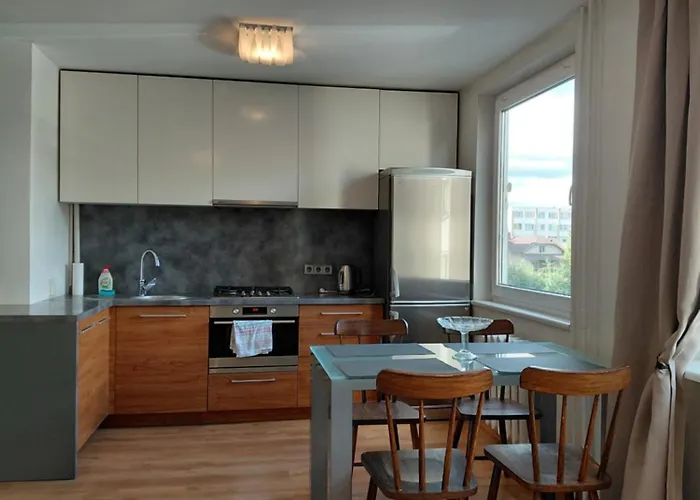 Two-Bedroom Flat Close To Downtown Kaunas