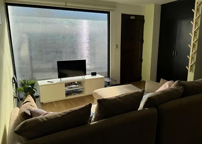 Full Apartment W Parking Office And Laundry Mexiko-Stadt
