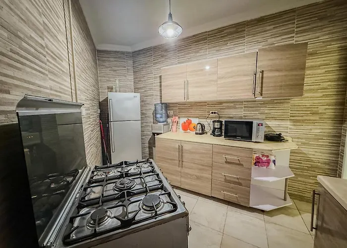 Oasis Balcony With Nile View Apartment Kairo