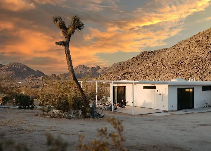 Villa Zebra Shadow By The Cohost Company Joshua Tree