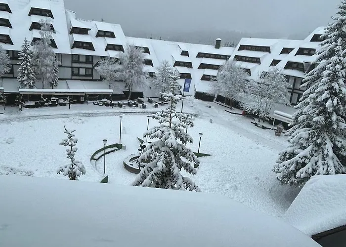 Ferienwohnung Pahulja Kopaonik