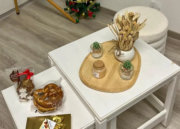 Appartement Avec Jacuzzi Proche Du Centre Straßburg