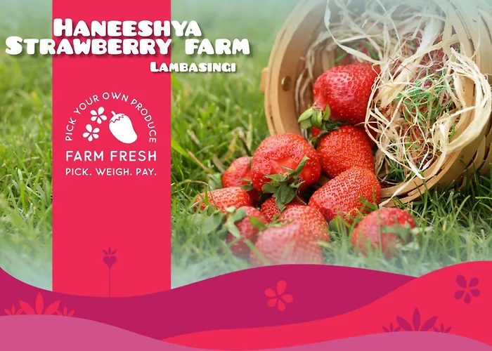 Haneeshya Resort & Strawberry Farm Lammasingi