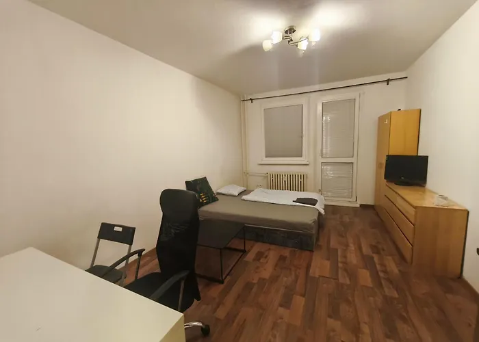 Double Room 17M2 With Shared Bathroom Pressburg