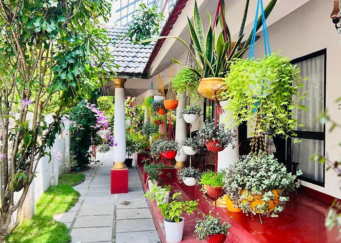Marari Beach Cleetus Homestay Alappuzha
