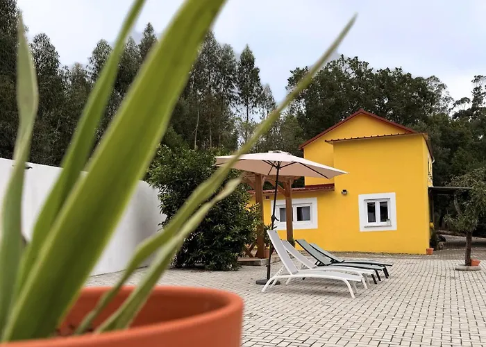 Monte Do Garnacho - Villa In The Mountains Sertã