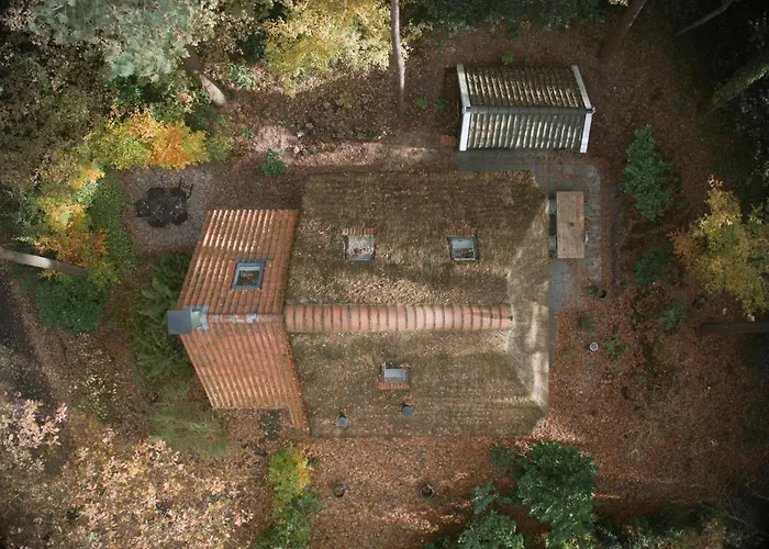 Sfeervol Huisje In De Natuur - Hestia IJhorst