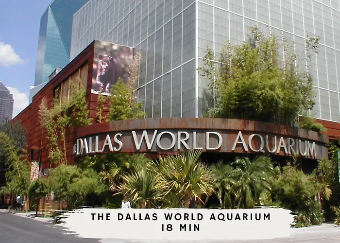 Villa Upscale Modern Living - 4Bd 4Ba Backyard & Cinema Dallas