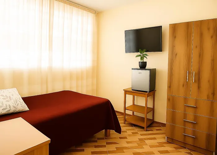 Departamento Amoblado En Primer Piso 200 Mts A Tu Disposicion Con Todos Los Servicios Tacna
