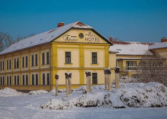 Elizabeth Hotel Gyula