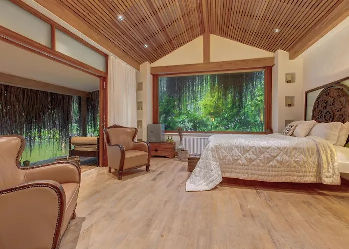 Olympos Lodge Çıralı