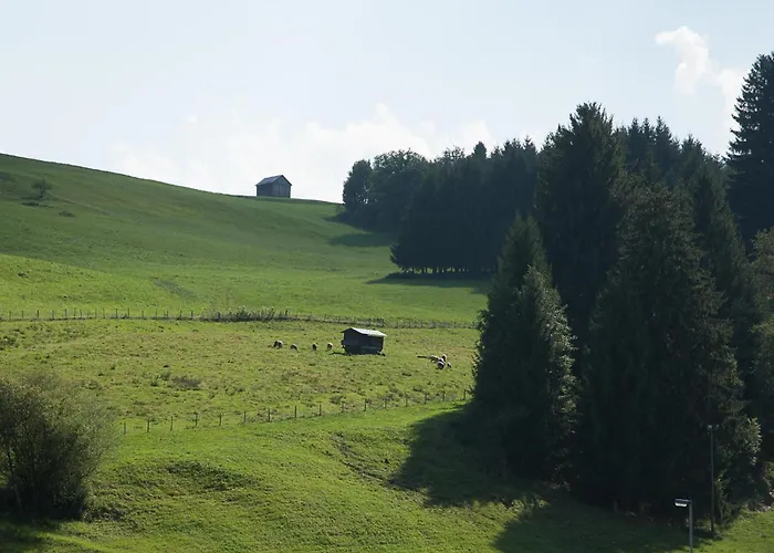 Gaisbock der Ferienhof Fischen im Allgäu