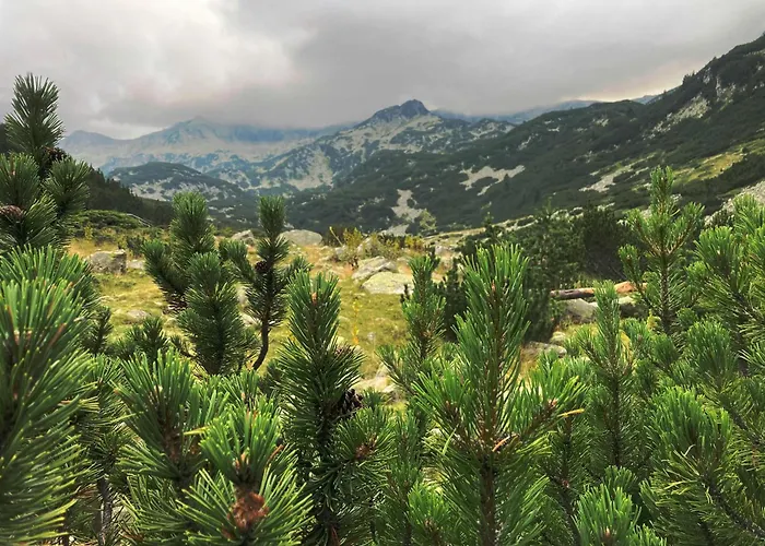 Ores Boutique Hotel Bansko