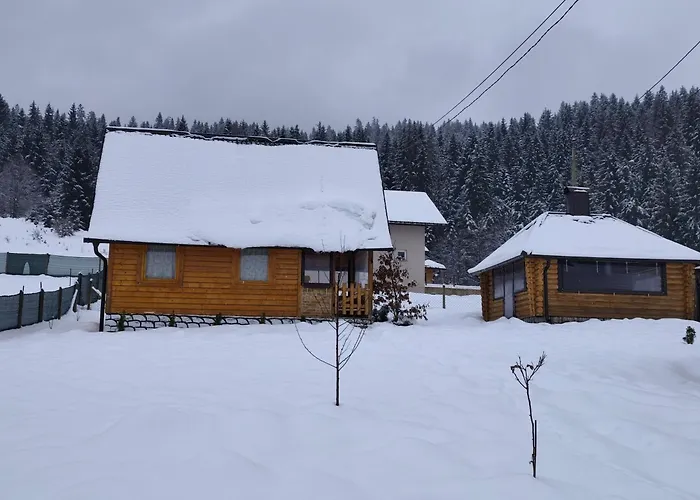 Villa Vikendica-Brvnara Pine Pale