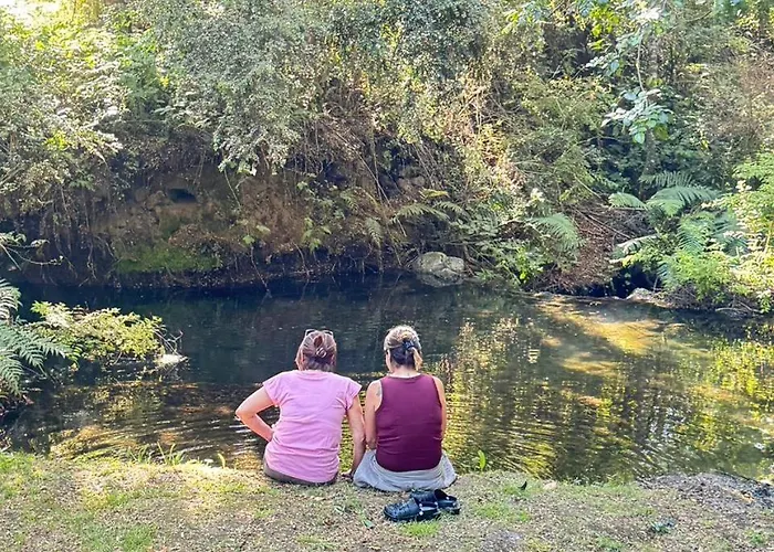 Camping Aldea Molco Pucón