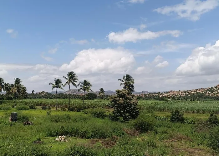 Nandanavana Homestay Hampi