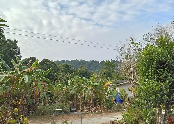 Pu Ya Deep Forest Home Ko Kut