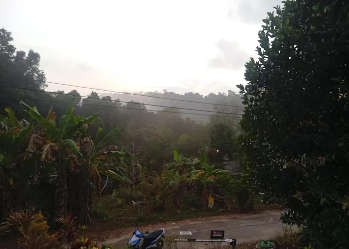 Pu Ya Deep Forest Home Ko Kut