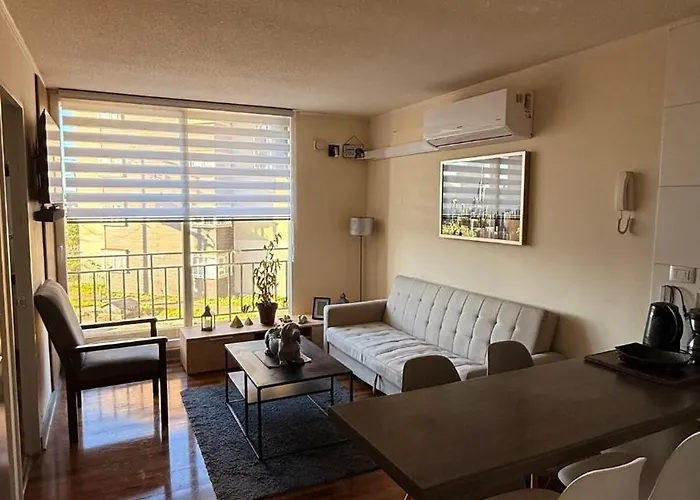 Comodo Departamento Amoblado Petfriendly Osorno