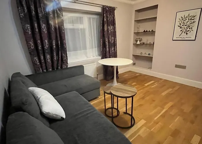 Modern Flat With Wembley Stadium View London