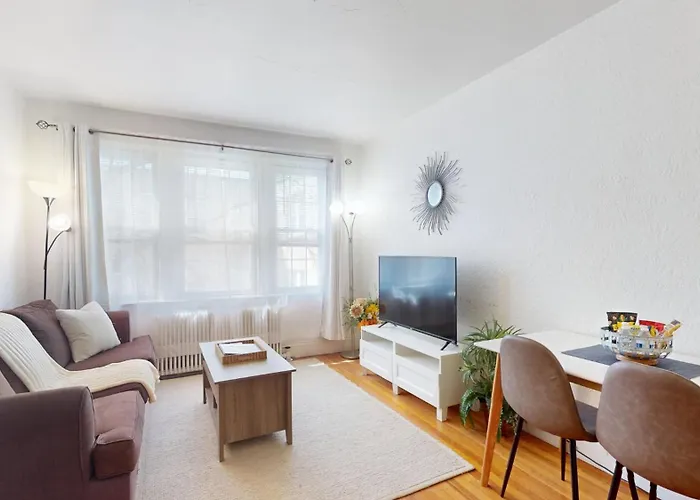 Cozy 1B, Green Line, Boston Coll, Elev, Roof Deck
