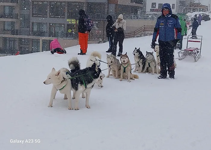 Aпартамент За Гости Ski Dream Grand Monastery-Пампорово