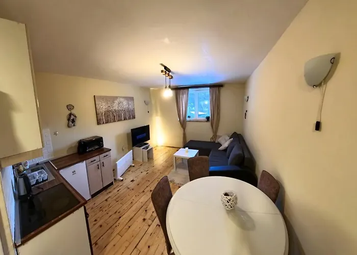 Ski-In & Ski-Out, Apartman Filip - 30M From Gondola Brzece Kopaonik