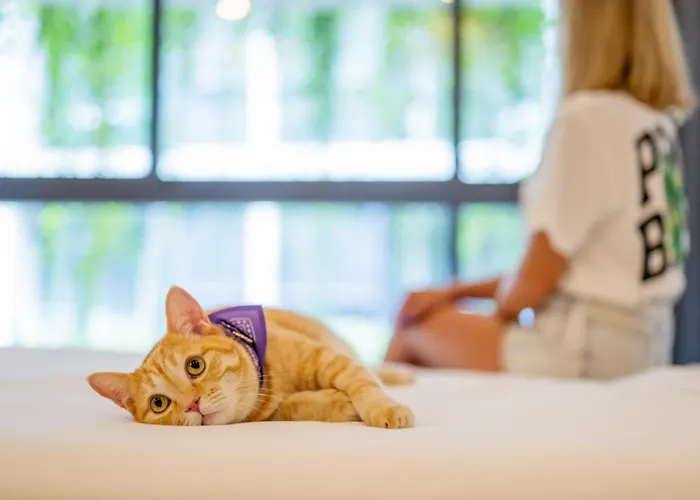 Hotel Homa Phuket Town