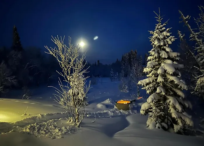 Mountain Holiday Homes - Ottsjoe, Trillevallen -Sweden Åre
