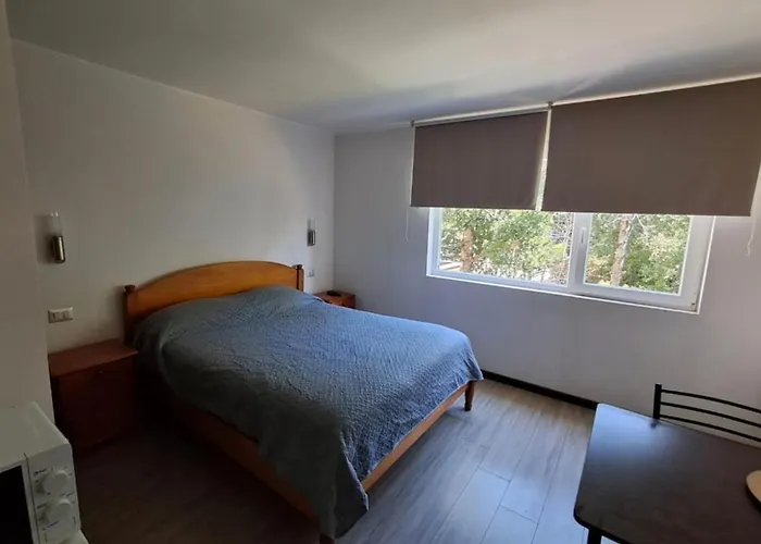 Depto Estudio Ubicado En Condominio Pucon Andino