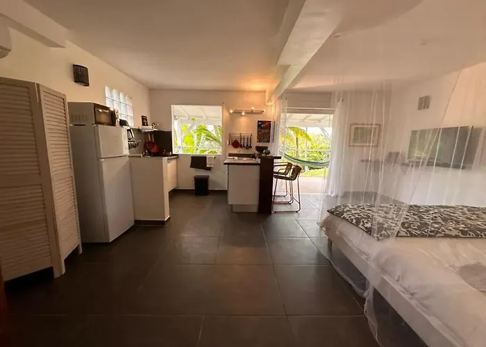 Studio Confortable A Petit-Bourg Avec Terrasse 30 M²