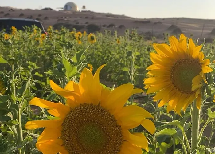 Aman Dome Desert Ḩawīyah
