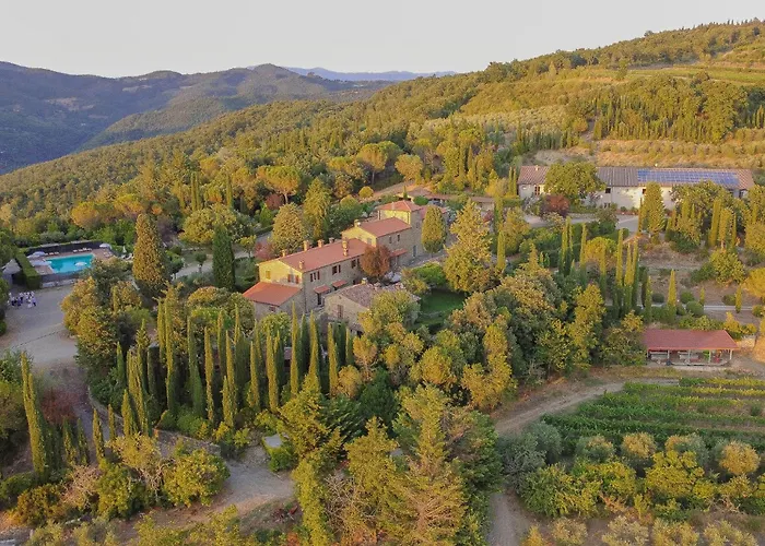 Stone Apartment Among Vineyards Near Arezzo