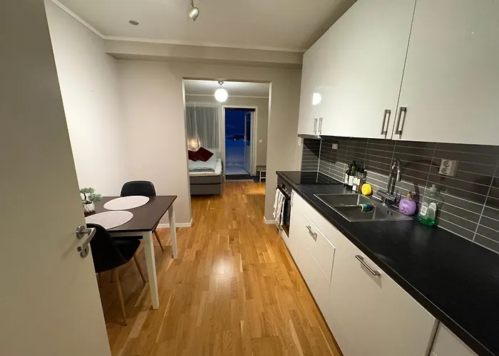 Moderne Og Privat Leilighet I Tromso- Gratis Parkering!