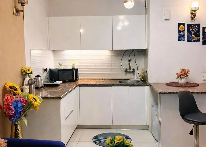 1 Bhk Studio Apartment Noida