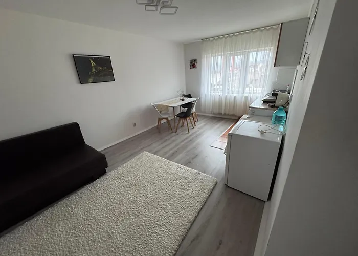 Apartament 10 Vatra Dornei