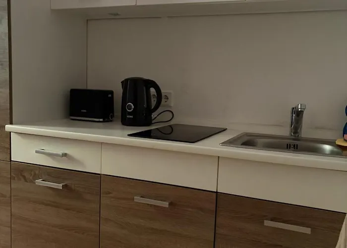 Hamburger Apartment am Flughafen