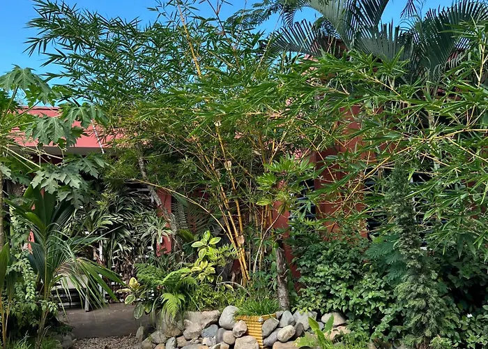 Hotel Selva Hq Palomino