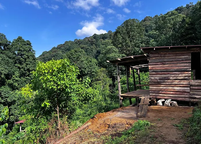 Migogo Gorilla Lodge Rubuguli