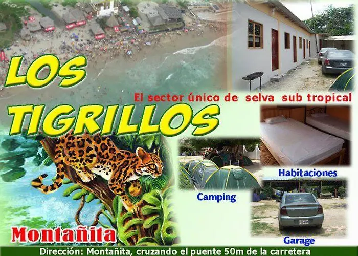 Los Tigrillos Montañita
