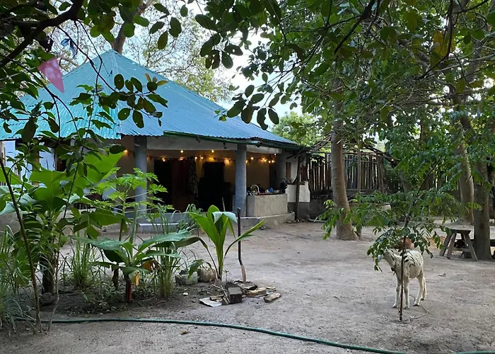 Ferienwohnung Bush Baby Compound Gunjur