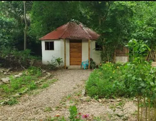 Coliving & Lodge Palomino