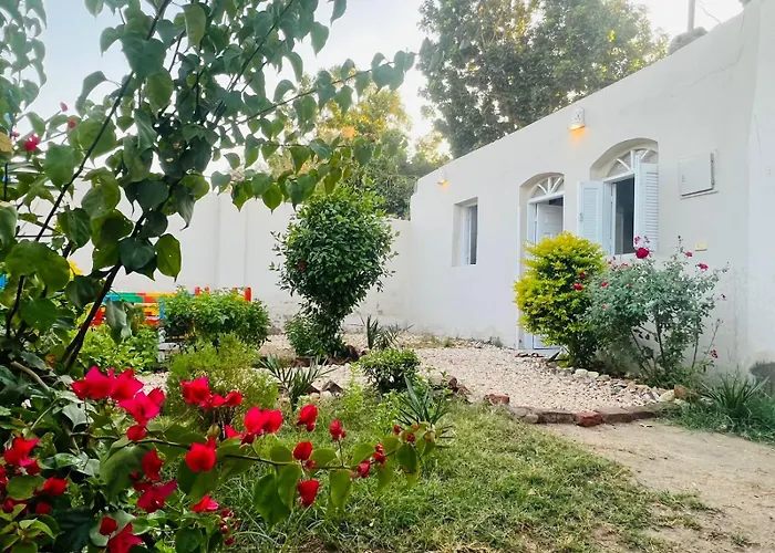Nile Flower Guesthouse Luxor