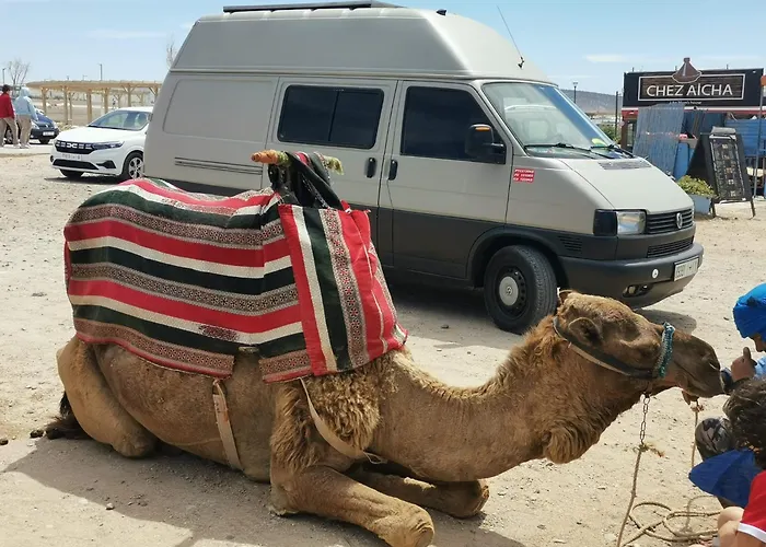 Hotel T4 Camper Agadir