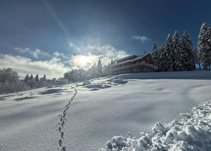 Berggasthaus Auerhahn - Ski In- Ski Out- Feldberg 