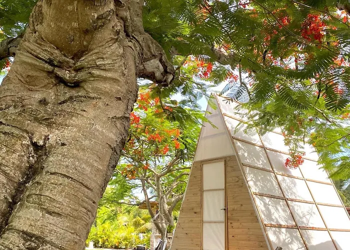 Acogedora Cabana Ubicada En Medio De La Naturaleza Punta Cana