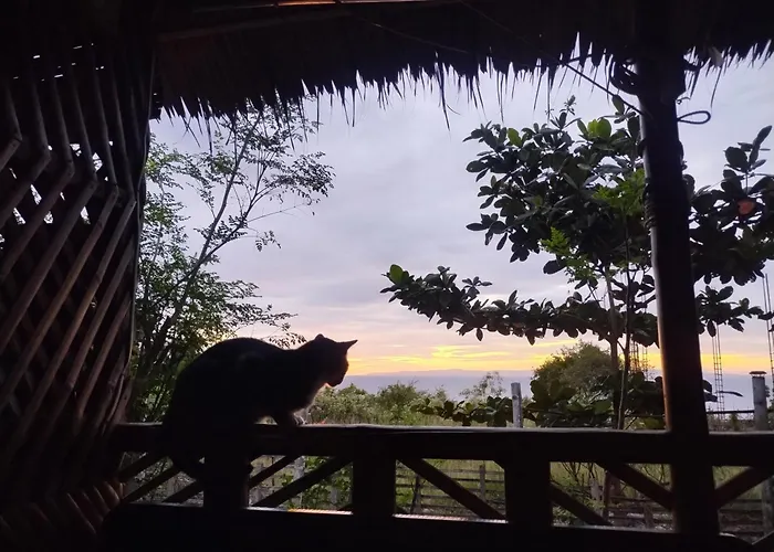 Homestead Farm Payag Bahay Kubo Santander