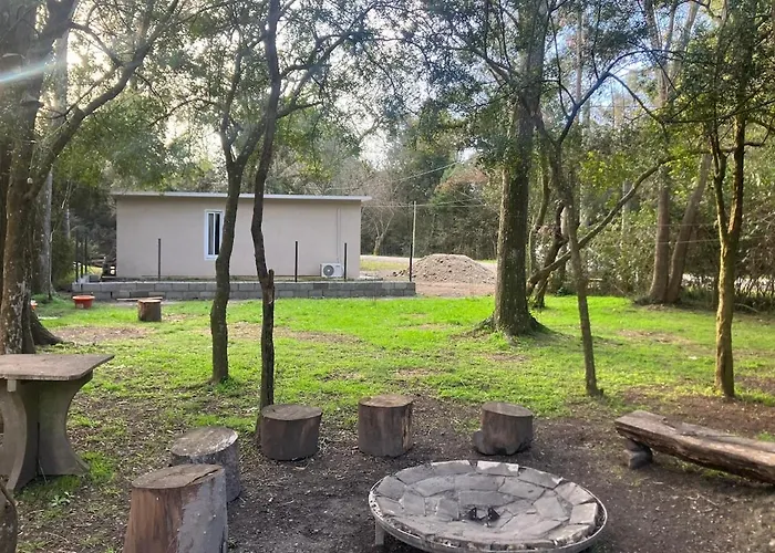 Cabana Rodeada De Naturaleza En El Ensueno, Santa Ana Playa Santa Ana